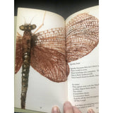 Hughes, Ted   Flowers and Insects - TC Books